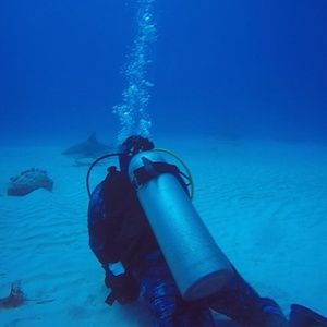 Meet your Posher, Shane